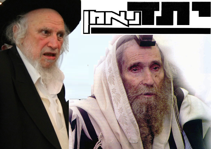 "הפוגע בכבוד הגראי"ל - חייב סקילה"